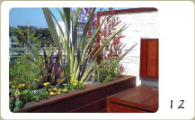 �K�[�f���t�@�j�`���[12